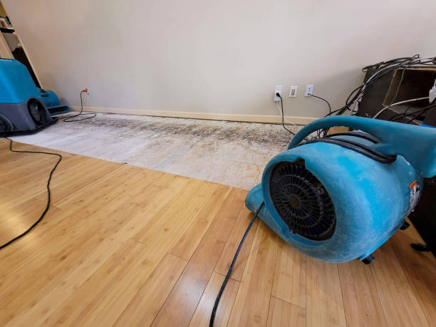 Professional Structural Drying technician working in Madison, MS